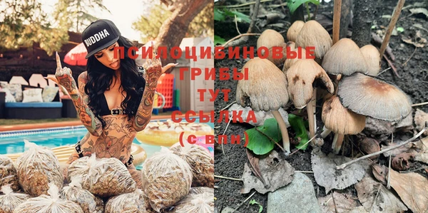 эйфоретик Верхний Тагил
