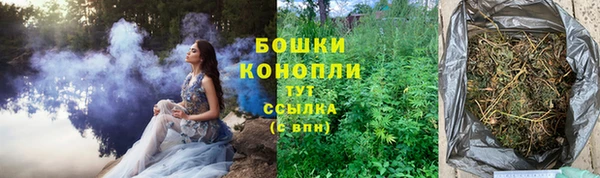ПСИЛОЦИБИНОВЫЕ ГРИБЫ Верхнеуральск