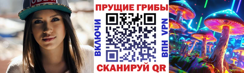 Галлюциногенные грибы Psilocybine cubensis  Лыткарино 